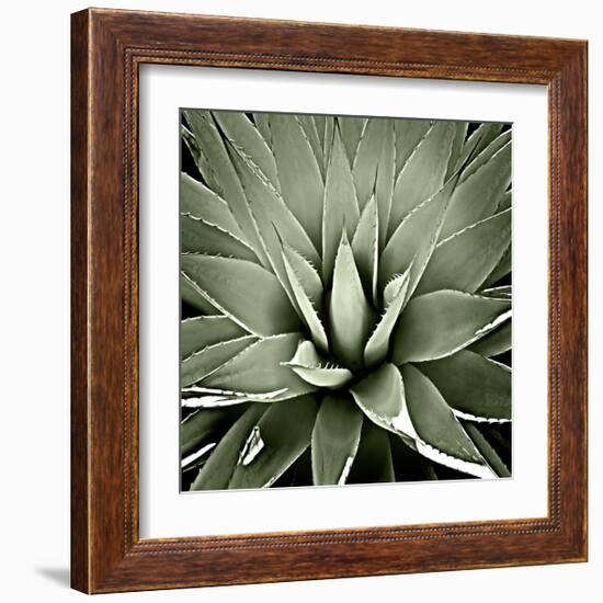 Green Succulent III-Mia Jensen-Framed Giclee Print