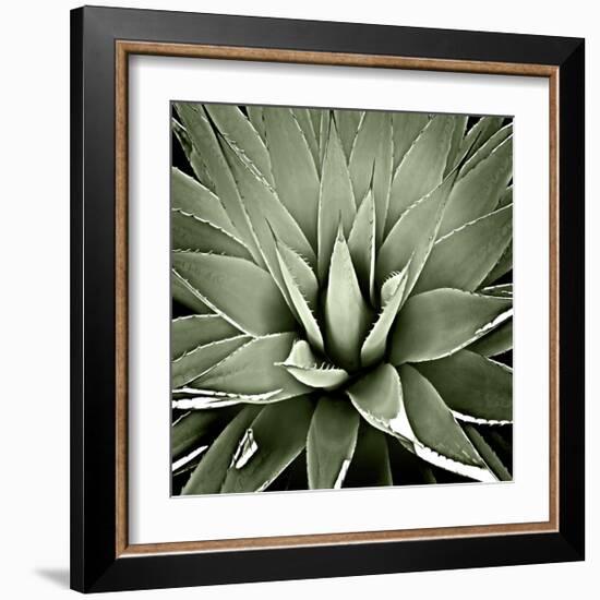 Green Succulent III-Mia Jensen-Framed Giclee Print