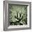 Green Succulent III-Mia Jensen-Framed Giclee Print