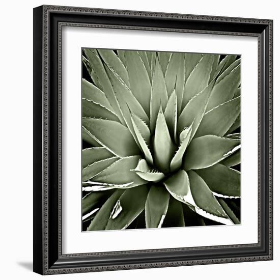 Green Succulent III-Mia Jensen-Framed Giclee Print