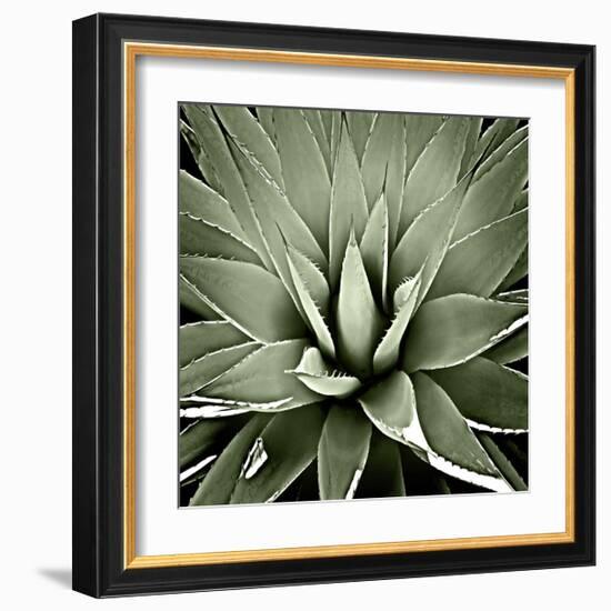 Green Succulent III-Mia Jensen-Framed Giclee Print