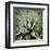 Green Succulent III-Mia Jensen-Framed Giclee Print