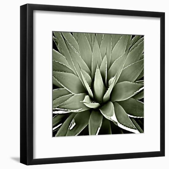 Green Succulent III-Mia Jensen-Framed Giclee Print