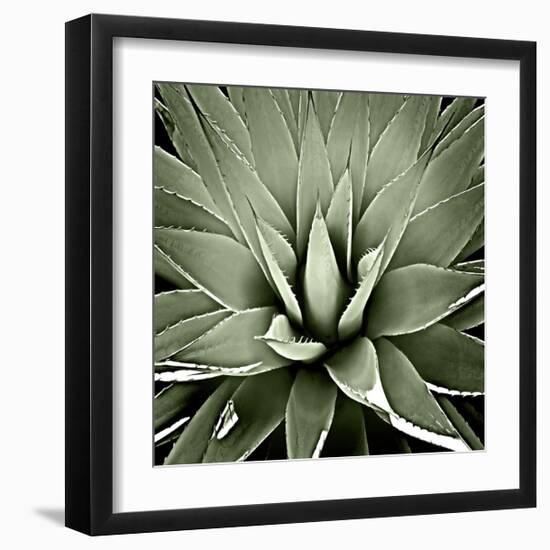 Green Succulent III-Mia Jensen-Framed Giclee Print