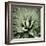 Green Succulent III-Mia Jensen-Framed Giclee Print