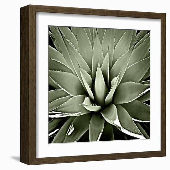 Green Succulent III-Mia Jensen-Framed Giclee Print