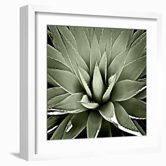 Green Succulent III-Mia Jensen-Framed Giclee Print