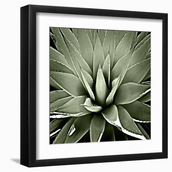 Green Succulent III-Mia Jensen-Framed Art Print