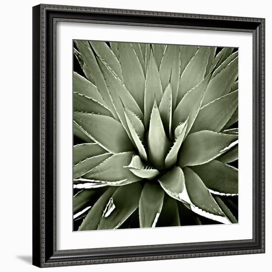 Green Succulent III-Mia Jensen-Framed Art Print