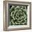 Green Succulent IV-Mia Jensen-Framed Giclee Print