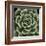 Green Succulent IV-Mia Jensen-Framed Giclee Print