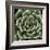 Green Succulent IV-Mia Jensen-Framed Giclee Print