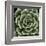 Green Succulent IV-Mia Jensen-Framed Giclee Print