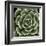 Green Succulent IV-Mia Jensen-Framed Giclee Print