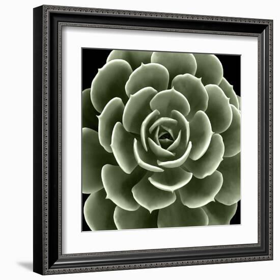 Green Succulent IV-Mia Jensen-Framed Giclee Print