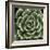 Green Succulent IV-Mia Jensen-Framed Giclee Print