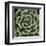 Green Succulent IV-Mia Jensen-Framed Giclee Print