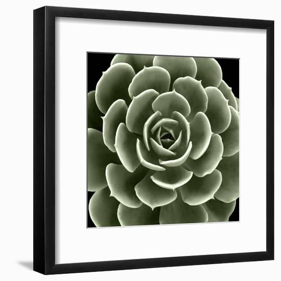 Green Succulent IV-Mia Jensen-Framed Giclee Print