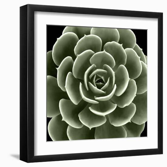 Green Succulent IV-Mia Jensen-Framed Giclee Print