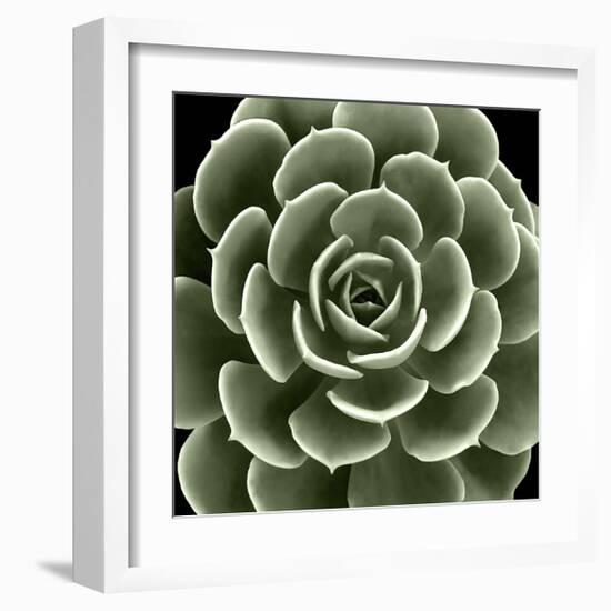 Green Succulent IV-Mia Jensen-Framed Giclee Print