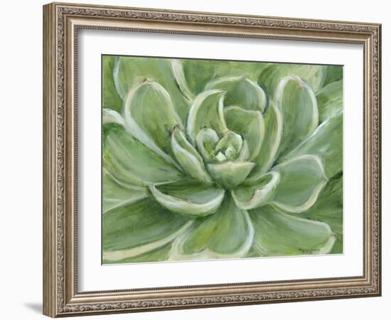 Green Succulent-Marilyn Dunlap-Framed Art Print