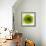 Green Summer Petals-Katja Marzahn-Framed Giclee Print displayed on a wall