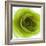 Green Summer Petals-Katja Marzahn-Framed Giclee Print