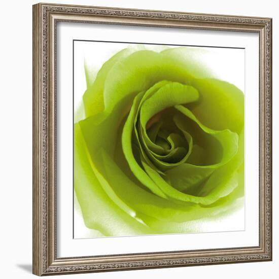 Green Summer Petals-Katja Marzahn-Framed Giclee Print