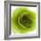 Green Summer Petals-Katja Marzahn-Framed Giclee Print