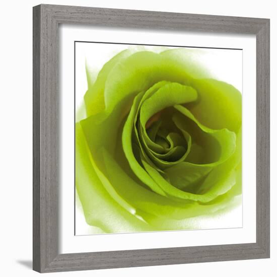 Green Summer Petals-Katja Marzahn-Framed Giclee Print