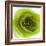 Green Summer Petals-Katja Marzahn-Framed Giclee Print