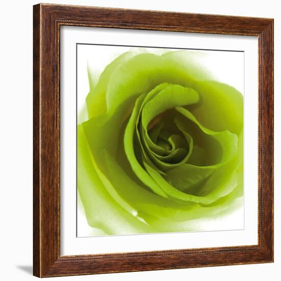 Green Summer Petals-Katja Marzahn-Framed Giclee Print