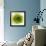 Green Summer Petals-Katja Marzahn-Framed Giclee Print displayed on a wall