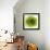 Green Summer Petals-Katja Marzahn-Framed Giclee Print displayed on a wall