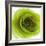 Green Summer Petals-Katja Marzahn-Framed Giclee Print