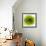 Green Summer Petals-Katja Marzahn-Framed Giclee Print displayed on a wall