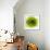 Green Summer Petals-Katja Marzahn-Framed Giclee Print displayed on a wall