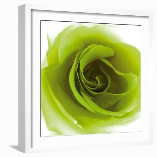 Green Summer Petals-Katja Marzahn-Framed Giclee Print