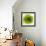 Green Summer Petals-Katja Marzahn-Framed Giclee Print displayed on a wall