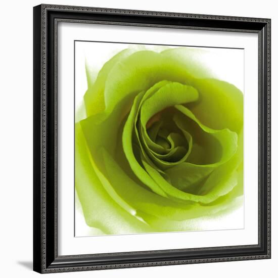 Green Summer Petals-Katja Marzahn-Framed Giclee Print