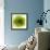 Green Summer Petals-Katja Marzahn-Framed Giclee Print displayed on a wall