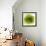 Green Summer Petals-Katja Marzahn-Framed Giclee Print displayed on a wall