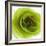 Green Summer Petals-Katja Marzahn-Framed Giclee Print