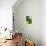 GREEN SUMMER SHAPES-THE MIUUS STUDIO-Photographic Print displayed on a wall