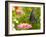 Green Swallowtail Butterfly Feeding On A Pink Zinnia In Sunny Summer Garden-Sari ONeal-Framed Photographic Print