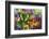 Green swallowtail butterfly, Papilio palinurus daedelus on orange coneflowers and painted tongue-Darrell Gulin-Framed Photographic Print