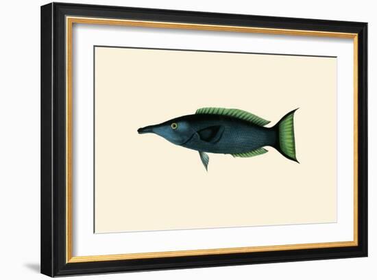 Green Talapat Parrot-John Whitchurch Bennett-Framed Art Print