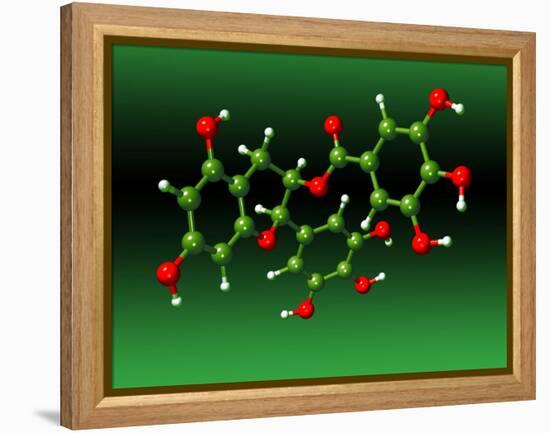 Green Tea Molecule-Dr. Mark J.-Framed Premier Image Canvas