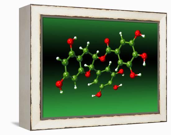Green Tea Molecule-Dr. Mark J.-Framed Premier Image Canvas