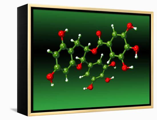 Green Tea Molecule-Dr. Mark J.-Framed Premier Image Canvas